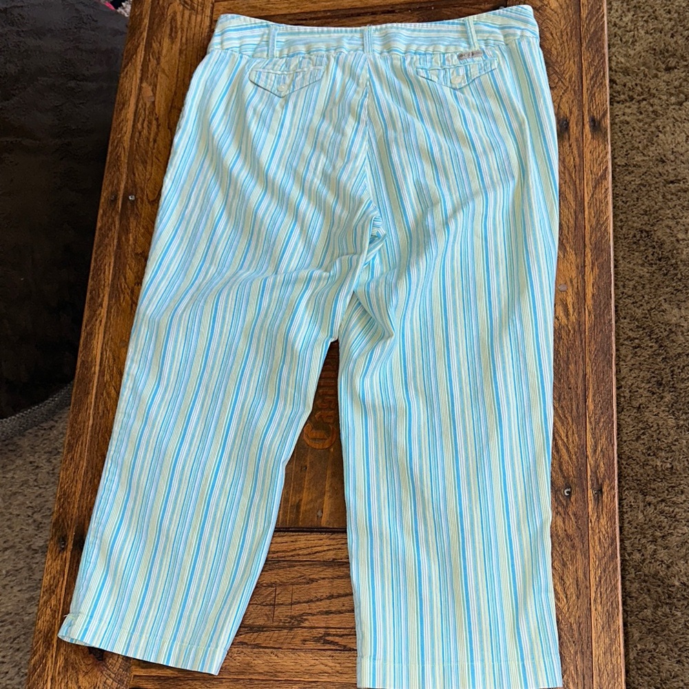 Columbia Capri Pants - Picture 4 of 4